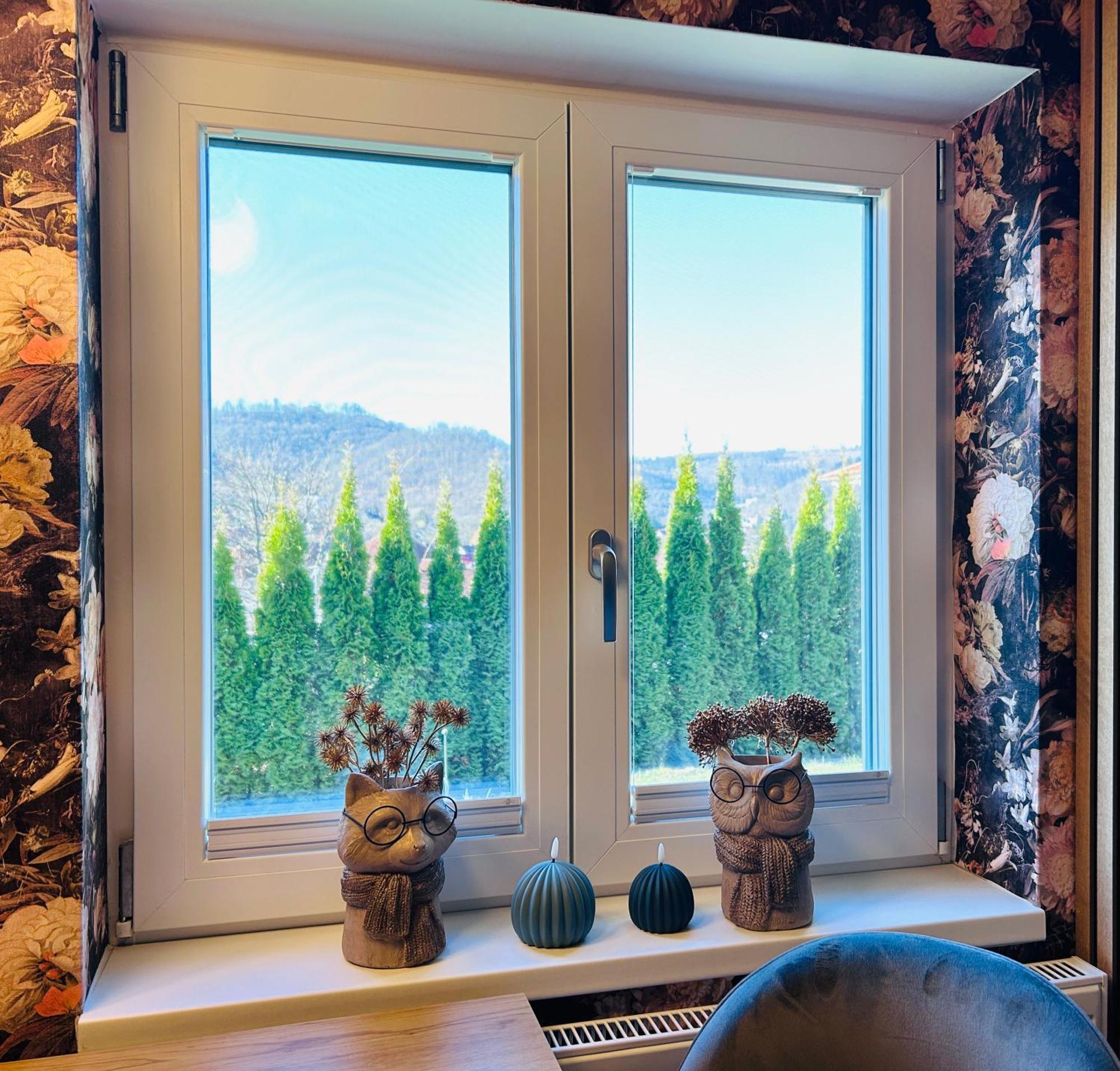 Wohnung Goethe'S Bergblick バート・ハルツブルク エクステリア 写真
